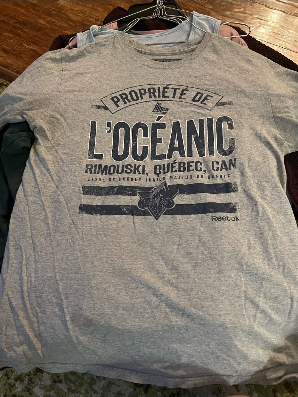 Reebok Men’s L'OCÉANIC Grey Graphic Tee small stain Crosbys hockey team